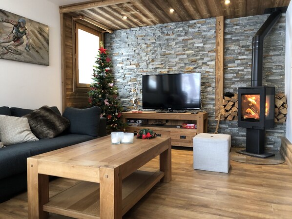 TV, fireplace, books