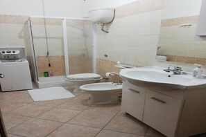 Shower, hair dryer, bidet, towels