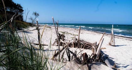 Gemütliche Ferienwohnung mit farbigen Lehmputzen, waldnahes ruhiges Grundstück