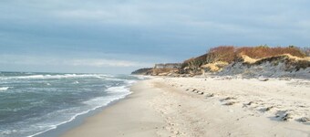Cozy apartment with colored clay plaster, forest-quiet site