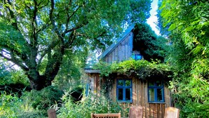 A wooden house with a garden patio, surrounded by trees and greenery. - Cozy apartment with colored clay plaster, forest-quiet site (Prerow)