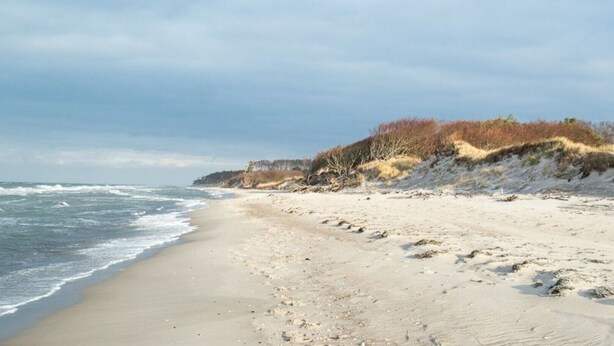A sandy beach with waves, a clear sky, and dunes with sparse vegetation. - Cozy apartment with colored clay plaster, forest-quiet site (Prerow)