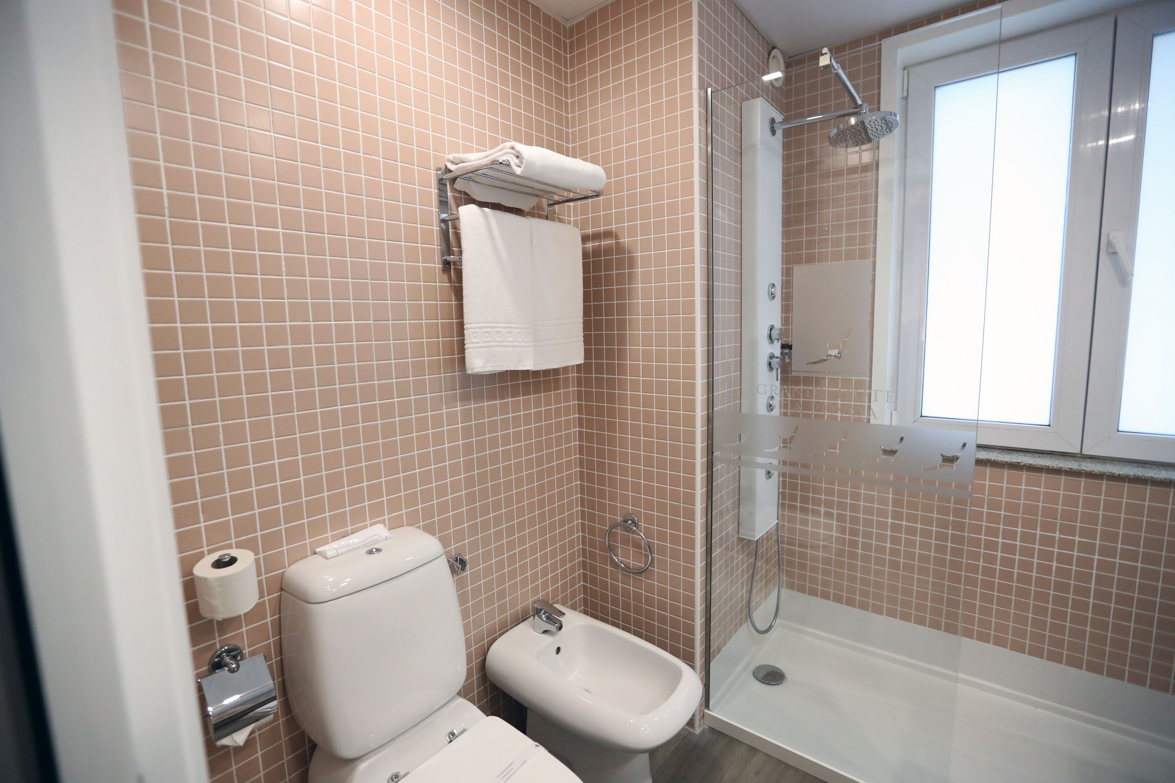 A bathroom with a toilet, bidet, and a shower area.