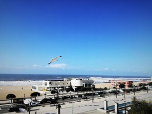 在海灘附近、10 間海灘酒吧