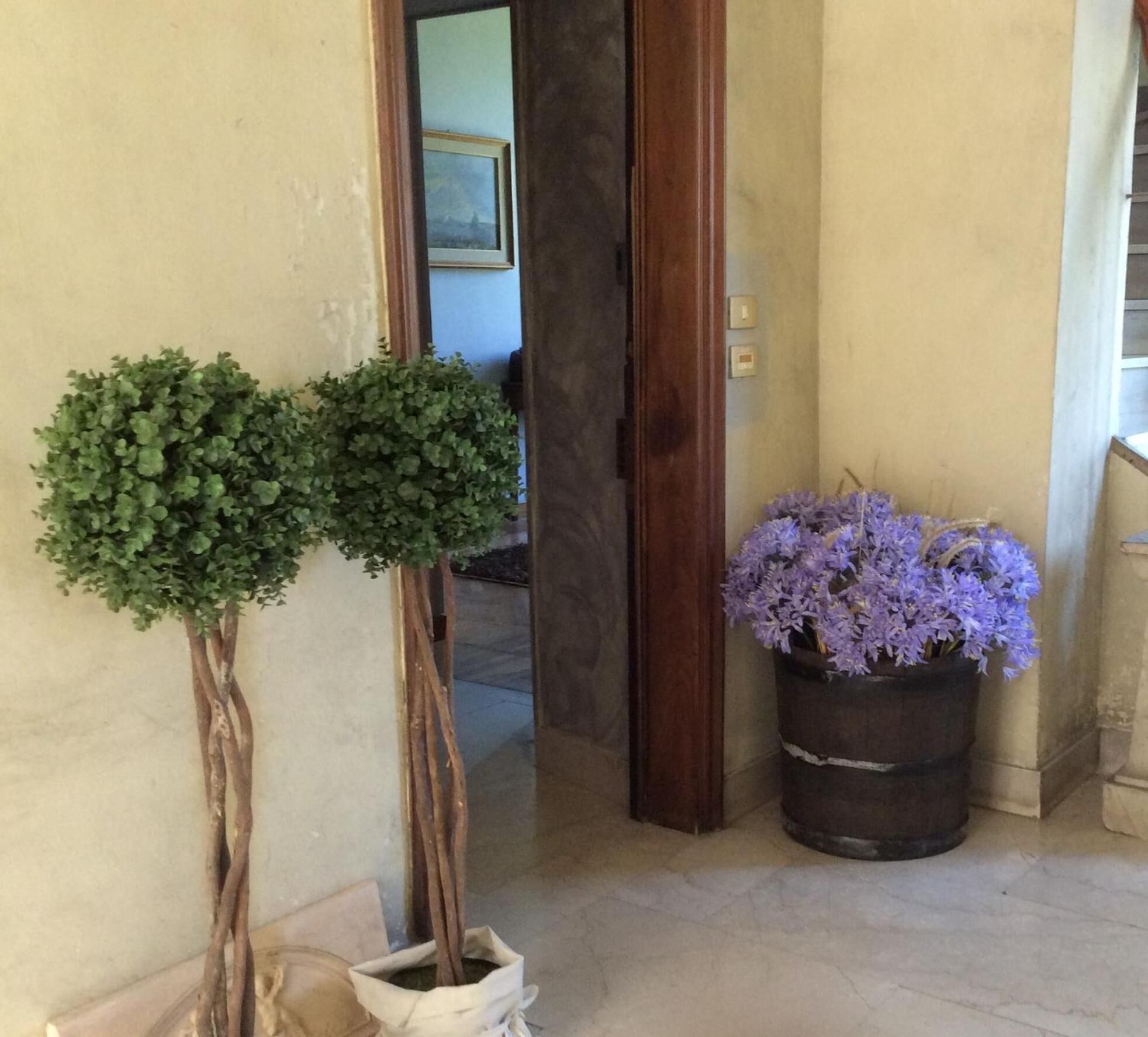 Un passadís amb una planta en test i un arranjament floral.