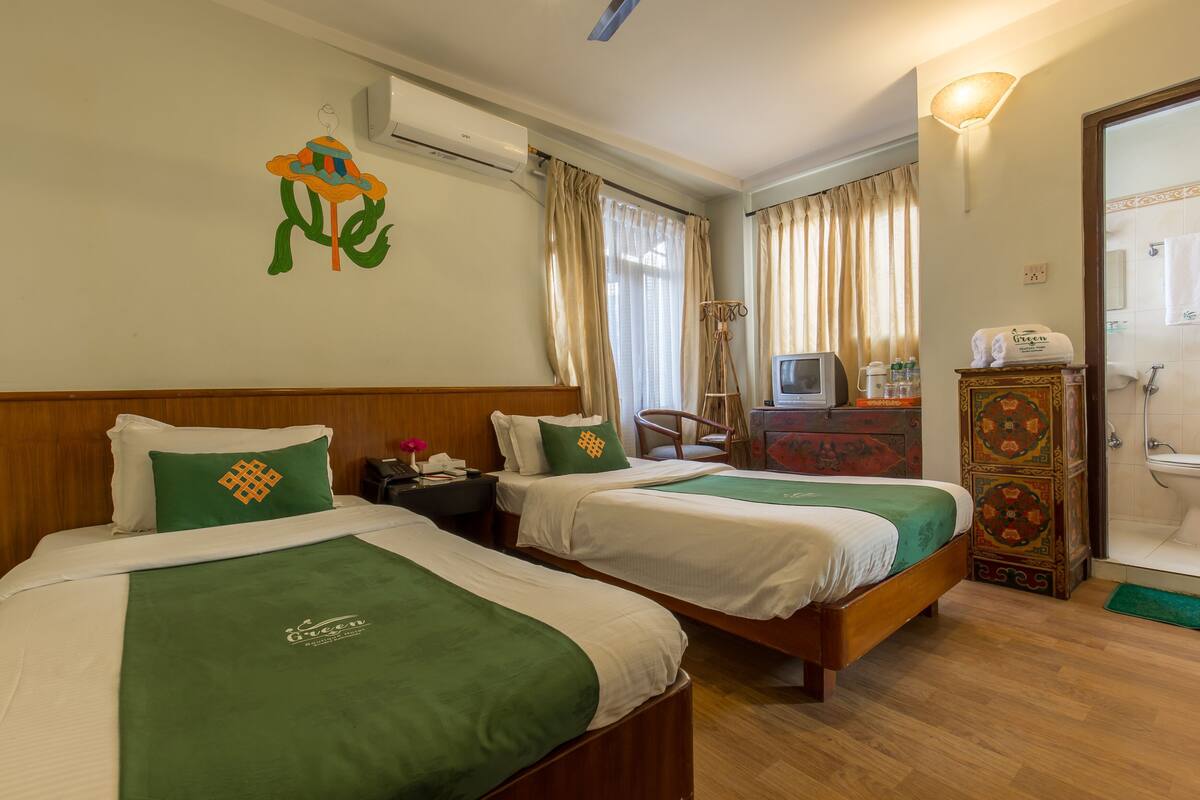 Une chambre d’hôtel avec deux lits, une télévision, une commode et un espace douche.