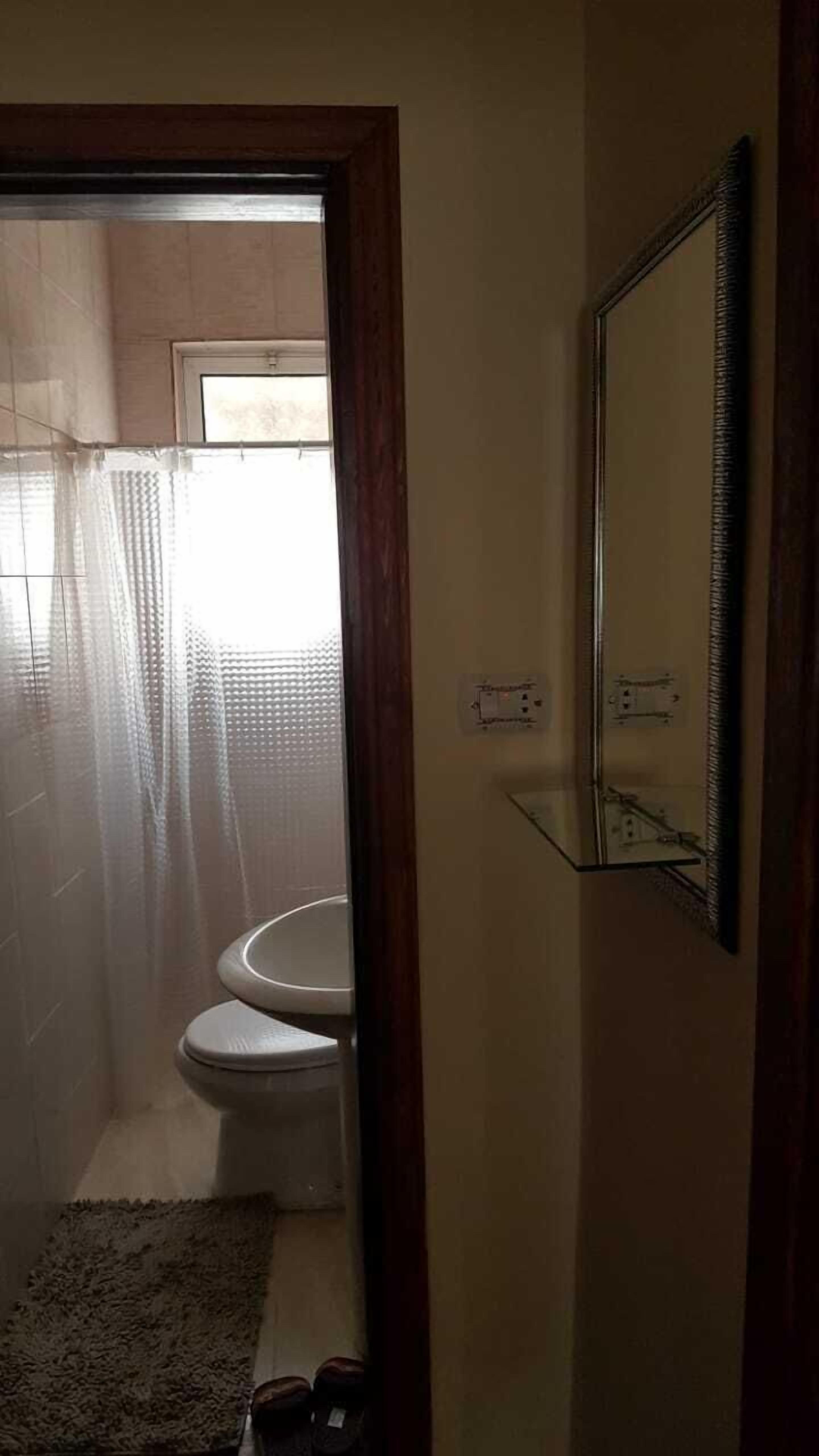 Un baño con inodoro, espejo y cortina de ducha.