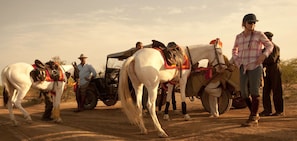 Um grupo de pessoas, cavalos e um veículo em um cenário desértico.