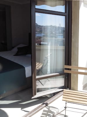 Vista desde la propiedad