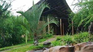 Ảnh chưa phân loại, 3 trong số 27 ảnh, nút