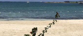 Avisa Stays. A hidden gem. Luxury beach living.