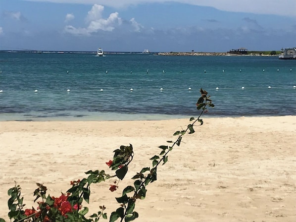 Plage, serviettes de plage