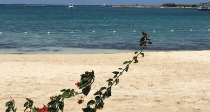 Appartement cÎté plage