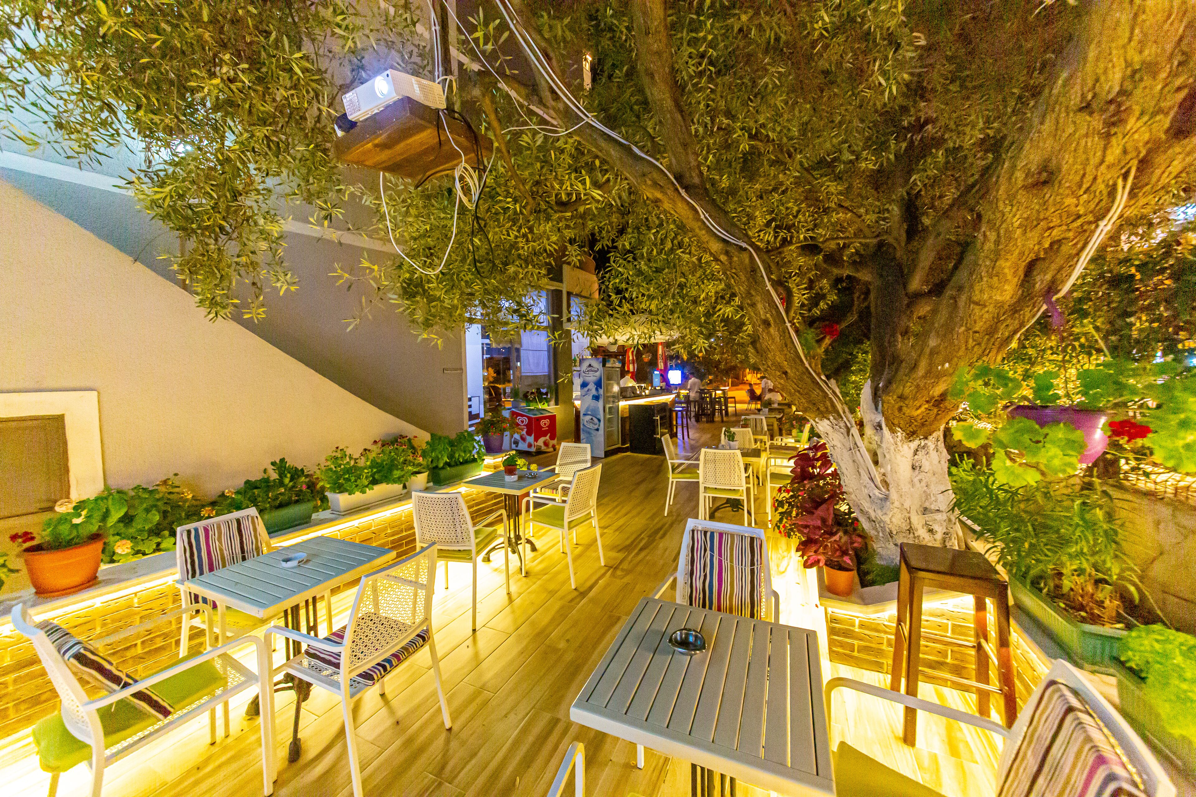 Photo - Hotel Villa Qendra