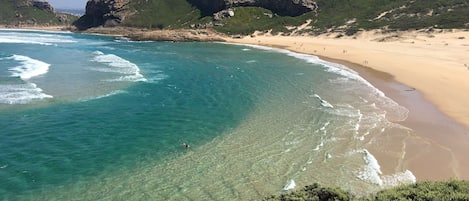 Sun-loungers, beach towels