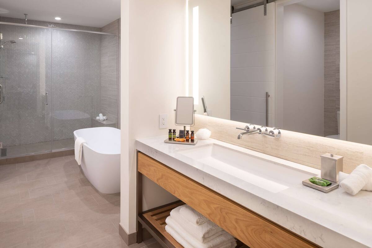 combined shower/bathtub, eco-friendly toiletries, hair dryer, towels