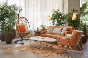 55-inch LCD TV with cable channels, TV