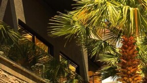 A building with a stone facade, multiple windows, and lush greenery including palm trees and other plants. - Hotel Apollon Saranda (Sarandë)