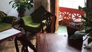 Una sala de estar acogedora con una mesa de centro de madera, dos sillones verdes, una silla de madera, una planta en maceta y una araña.