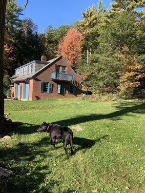 View from side yard