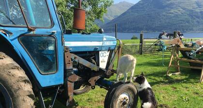 Highland Croft