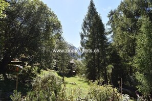 A forested area with a clear path, a birdhouse, and a stone structure in the background.