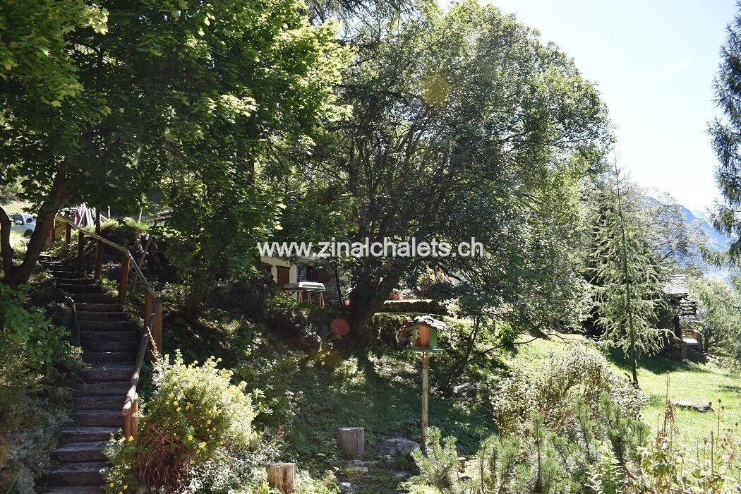 Una escalera de madera rústica que sube hacia un edificio de piedra rodeado de exuberante vegetación y árboles.