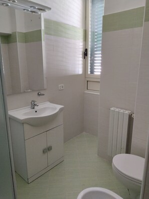 Shower, hair dryer, bathrobes, bidet