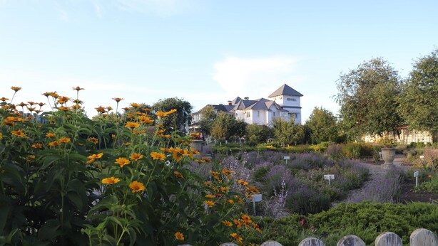 Un hotel con jardín delantero, rodeado de diversas plantas y flores.