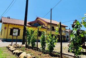 Exterior - B&B Le Strade del Gavi (Francavilla Bisio)