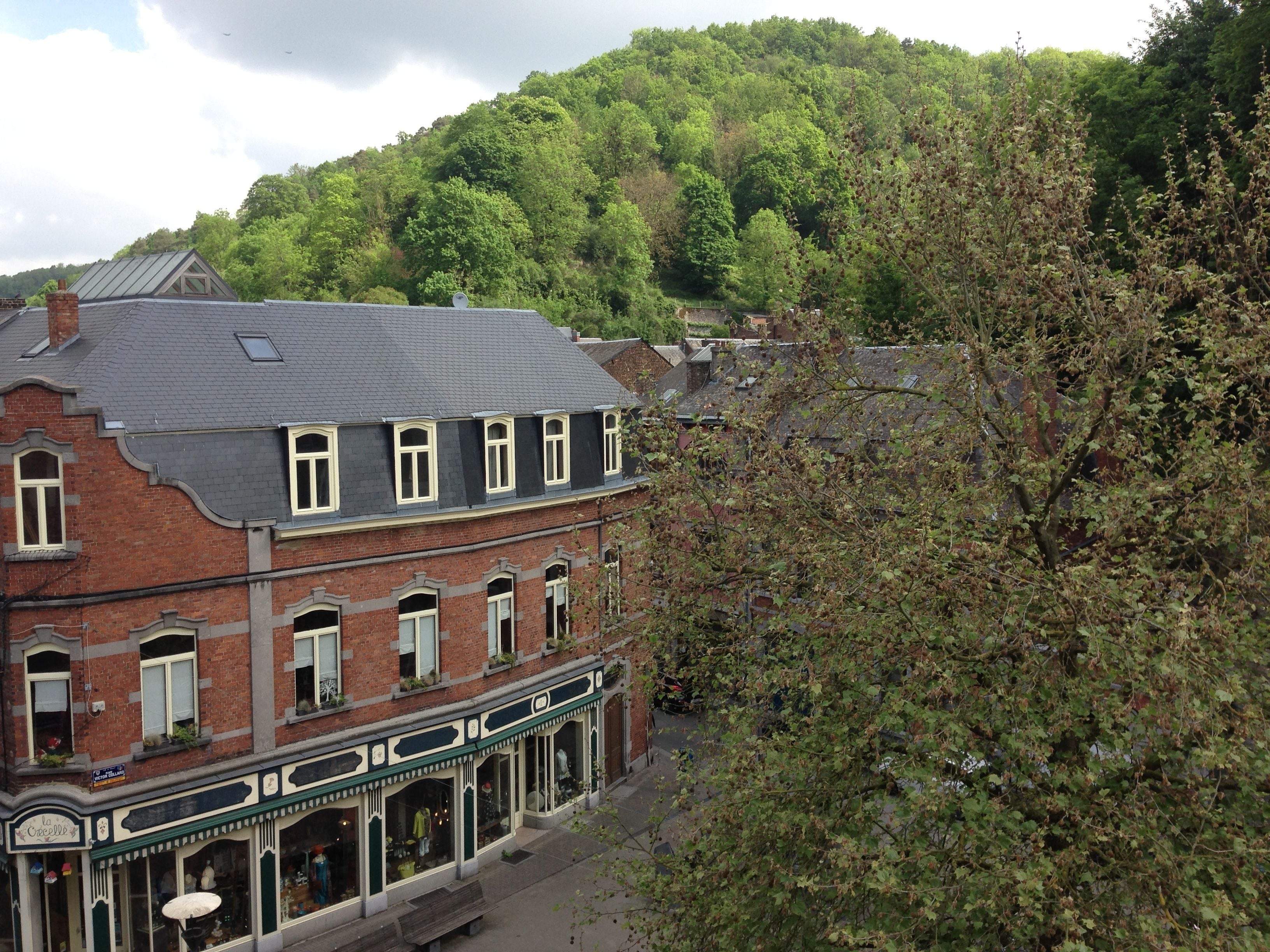 A traditional brick building with a green awning and large windows, located in a lush, green area with a hill in the background.