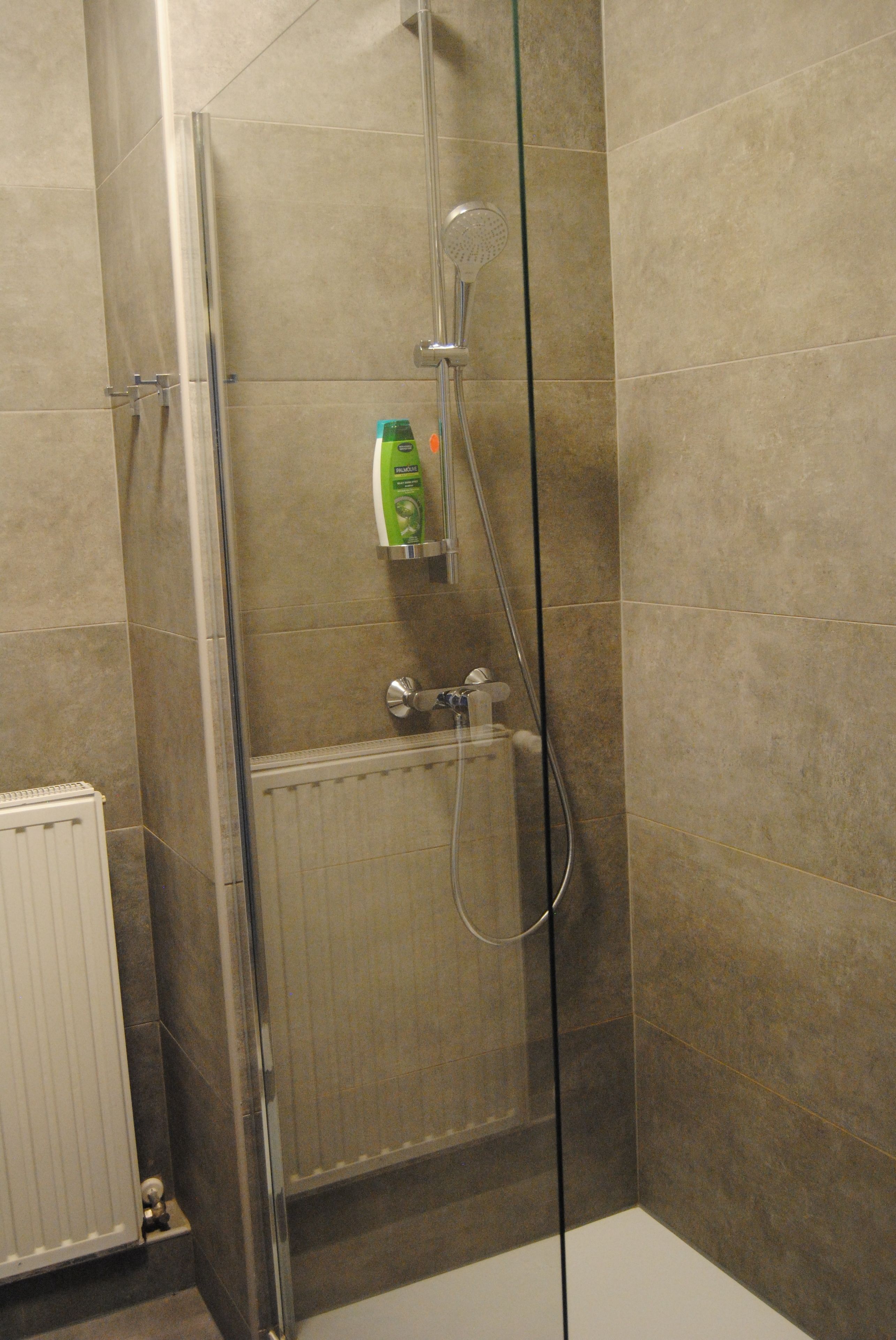 A shower with a glass door, a handheld showerhead, and a bottle of shampoo on the wall.