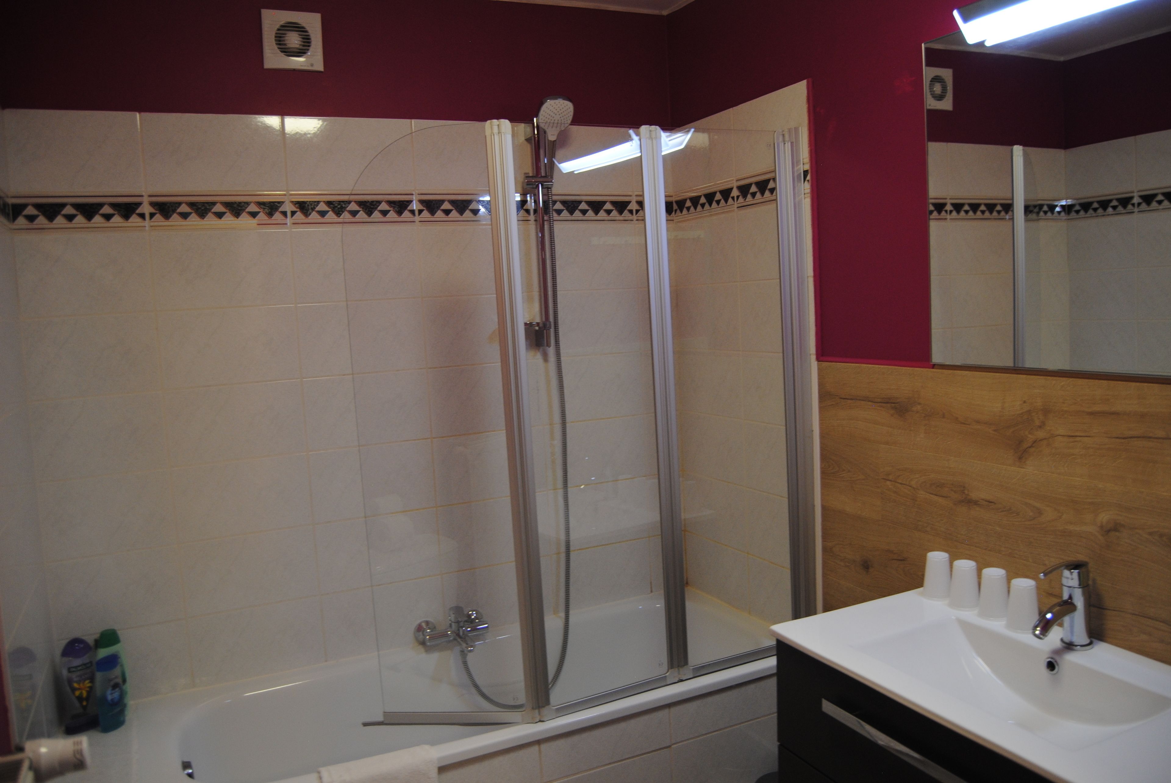 Un baño con ducha envuelta en cristal, un lavabo blanco con espejo y un mueble de tocador de madera.