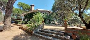 A residential property with a paved driveway, stone steps leading to a house, and a garden with various plants. - Casa Rural Viña Arroyo del Galloo (Andújar)