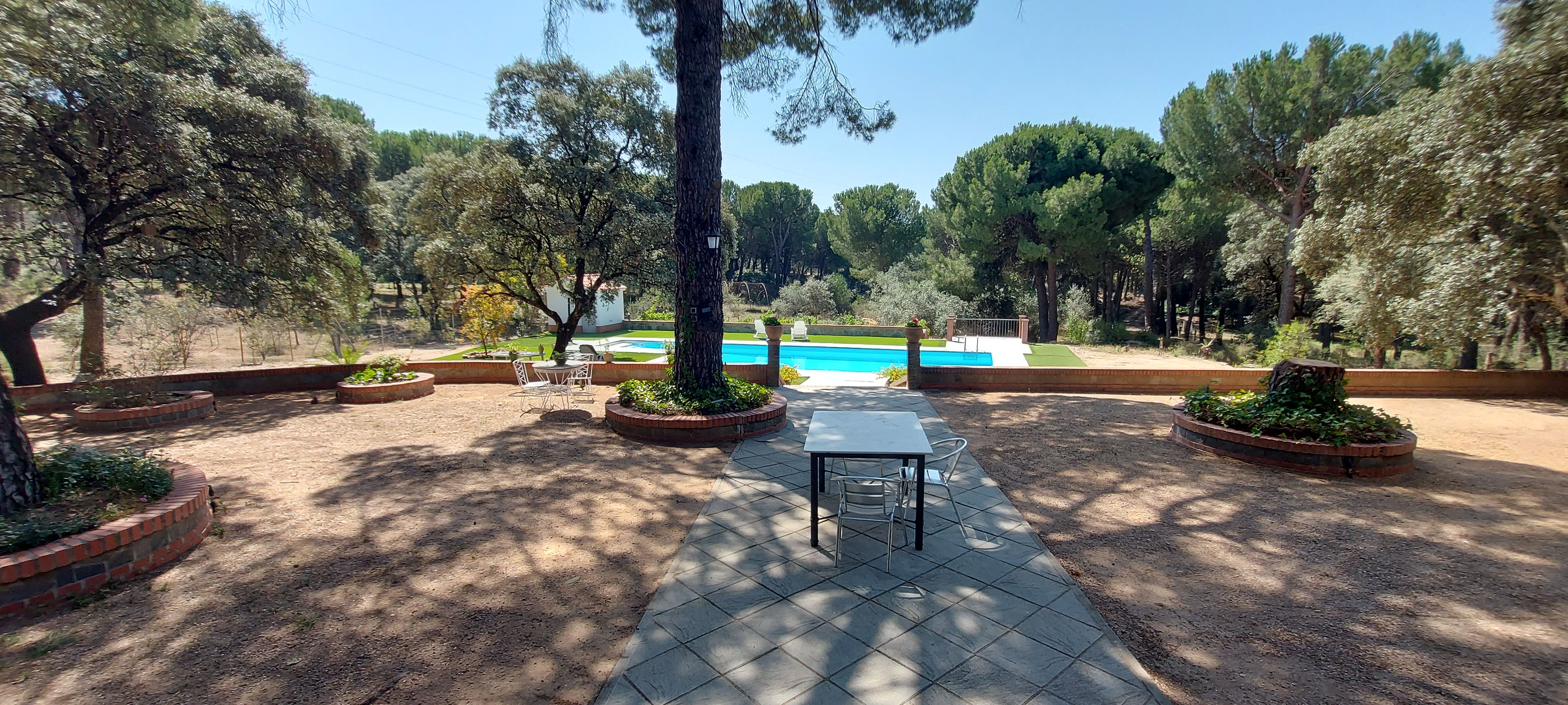 Un espace patio avec une piscine, entouré d’arbres et agrémenté de mobilier d’extérieur.