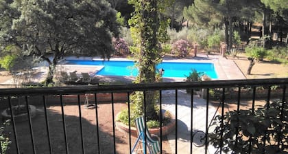 Casa Rural Viña Arroyo del Galloo
