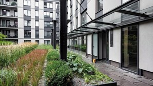 A modern building with a glass facade, a rooftop garden with various plants, and a paved walkway.