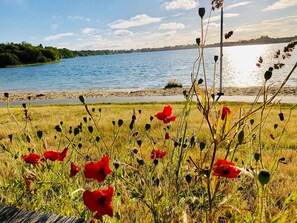 Lake - Hotel du Lac d'Arjuzanx (Morcenx-la-Nouvelle)