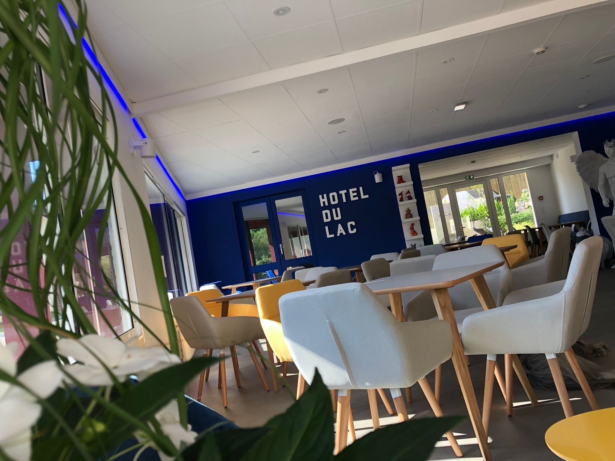 A hotel interior with a blue accent wall, white furniture, and a view of greenery outside.
