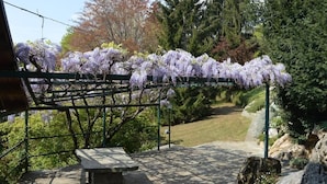 Un banco de piedra y una pérgola adornada con flores moradas.