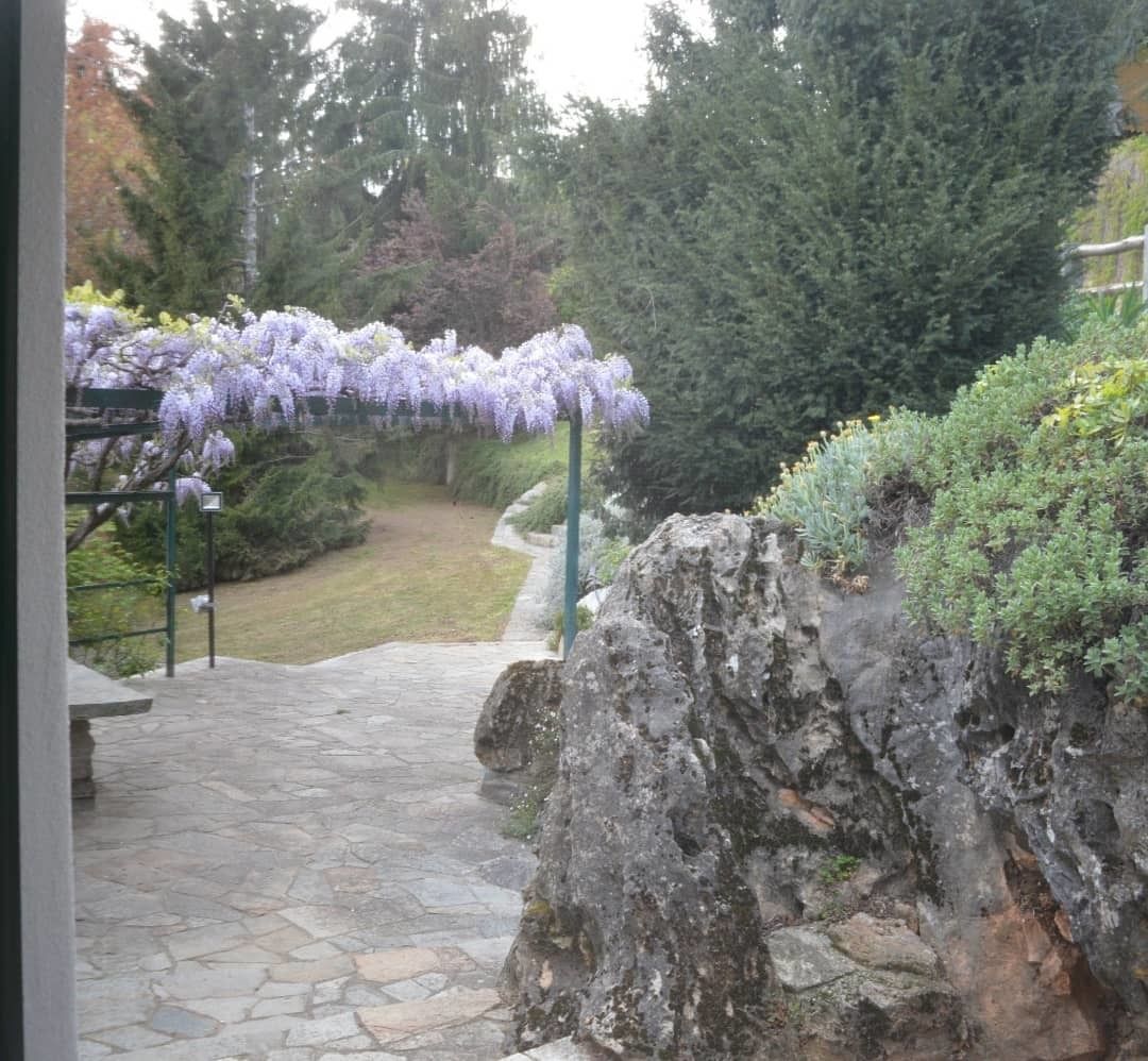 A stone pathway leading to a seating area with a pergola covered in purple flowers.