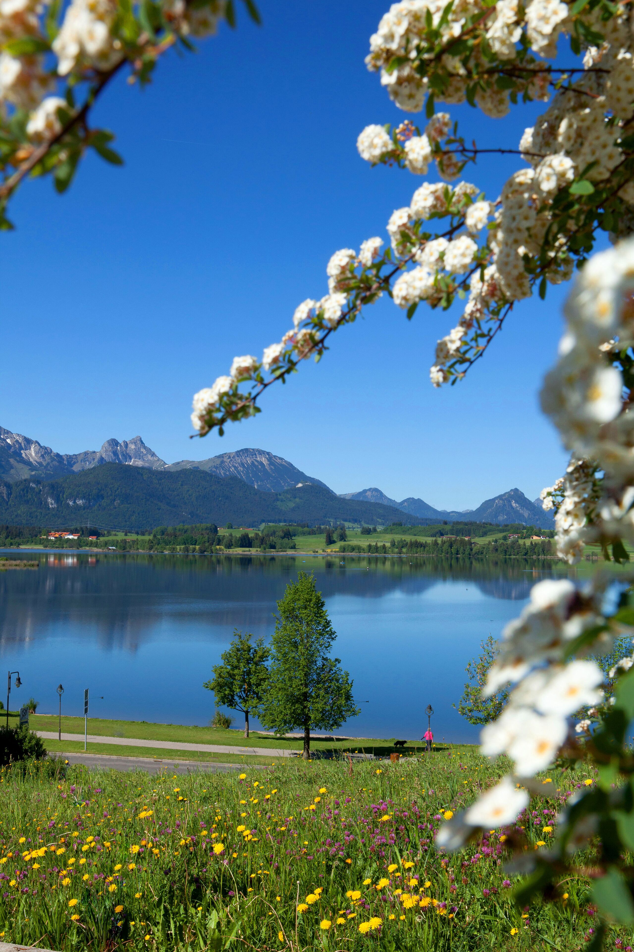 A lake with mountains in the background, a grassy area with flowers, and a clear blue sky.