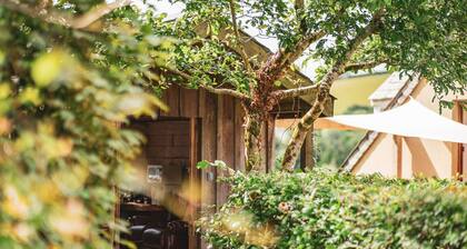 Writing Shed Wales - alpacas, views, fireplace