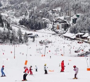 Esports d'hivern i esquí