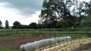 A garden with a green fence, a greenhouse, and a field in the background. - Domaine de la Rue (La Berthenoux)