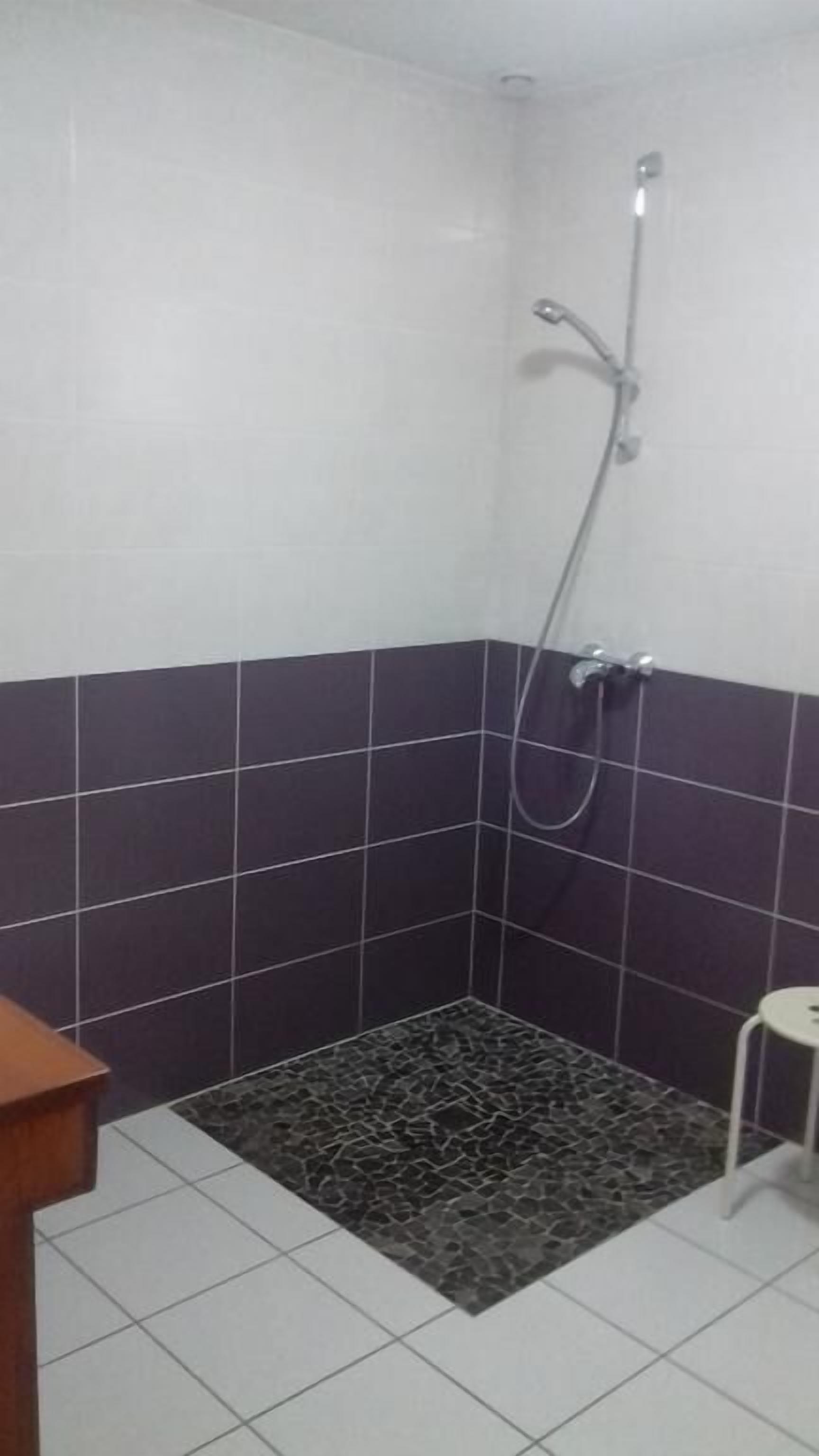 Ein kleines Badezimmer mit Dusche, gefliesten Wänden und einer Fußmatte mit Muster.