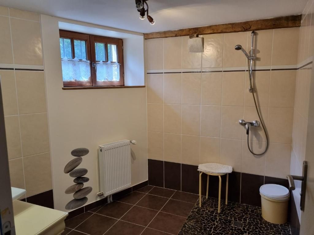 A bathroom with a shower, a toilet, a radiator, and a window.