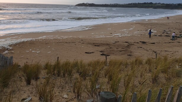 Strand