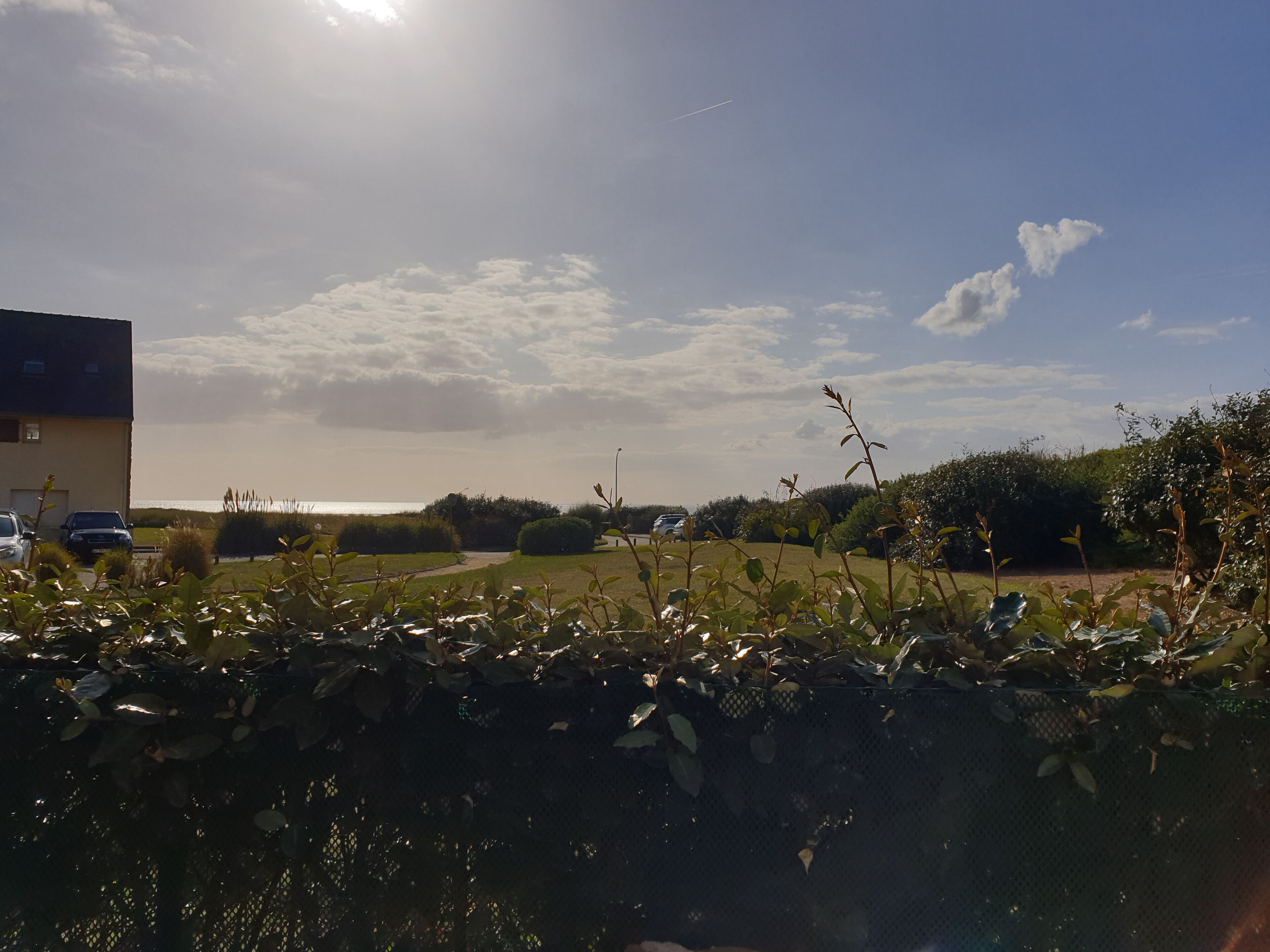 A residential area with a house, parked cars, and a hedge in the foreground.
