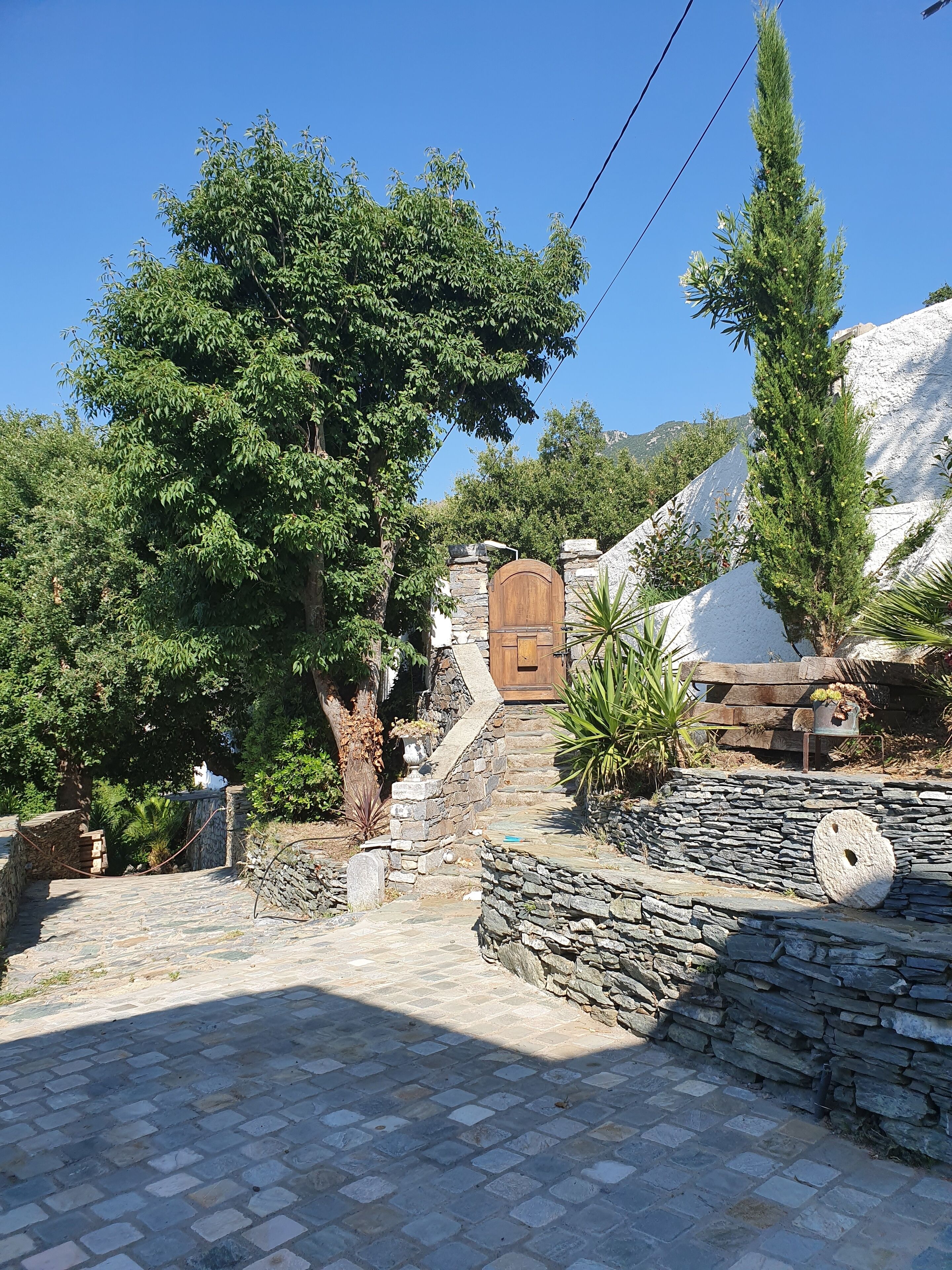 A stone pathway leading to a wooden door, surrounded by lush greenery and a stone wall.